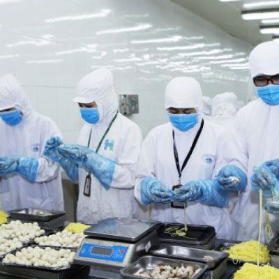 外食・食品製造